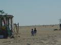 dsc04393.jpg