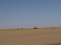 dsc04401.jpg