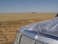 dsc04404.jpg
