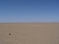 dsc04418.jpg