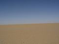 dsc04420.jpg