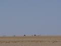 dsc04422.jpg