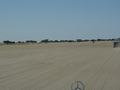 dsc04427.jpg