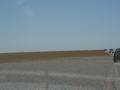 dsc04430.jpg