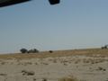 dsc04431.jpg