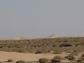 dsc04461.jpg