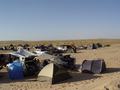 dsc04464.jpg