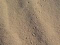 dsc04472.jpg