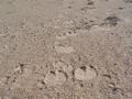 dsc04513.jpg