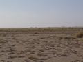 dsc04515.jpg