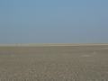 dsc04516.jpg