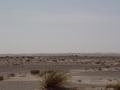 dsc04520.jpg