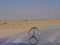 dsc04525.jpg