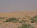 dsc04539.jpg