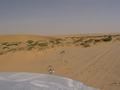 dsc04540.jpg