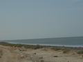 dsc04550.jpg
