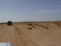 dsc04560.jpg