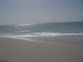 dsc04575.jpg