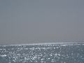 dsc04577.jpg