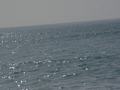 dsc04592.jpg