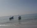 dsc04603.jpg