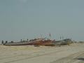 dsc04605.jpg