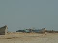 dsc04607.jpg