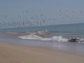 dsc04612.jpg