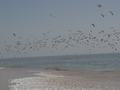 dsc04613.jpg