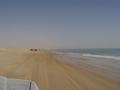 dsc04621.jpg