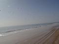 dsc04624.jpg