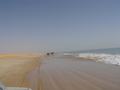 dsc04625.jpg