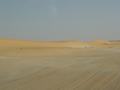 dsc04630.jpg