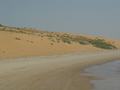 dsc04632.jpg