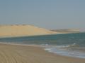 dsc04633.jpg