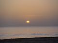 dsc04654.jpg