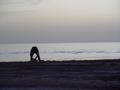 dsc04660.jpg