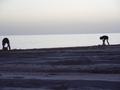 dsc04664.jpg