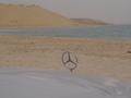 dsc04675.jpg