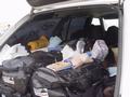 dsc04679.jpg