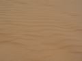 dsc04692.jpg
