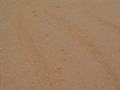 dsc04696.jpg
