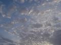 dsc04708.jpg