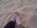 dsc04712.jpg