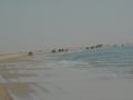 dsc04717.jpg
