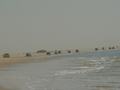 dsc04719.jpg