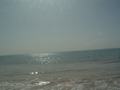 dsc04722.jpg