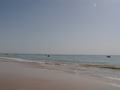 dsc04725.jpg