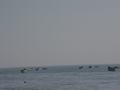 dsc04730.jpg