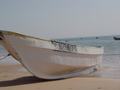 dsc04733.jpg
